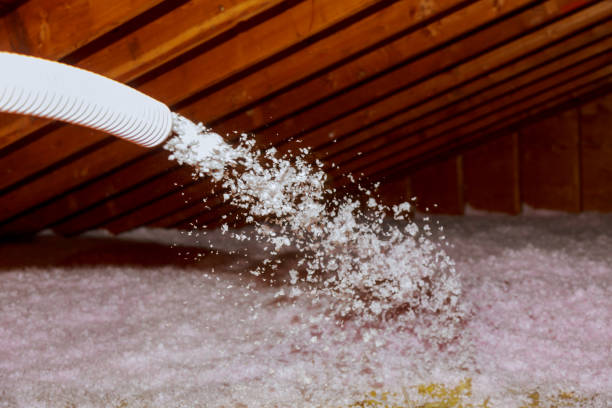 Professional Insulation Contractor in East Palestine, OH